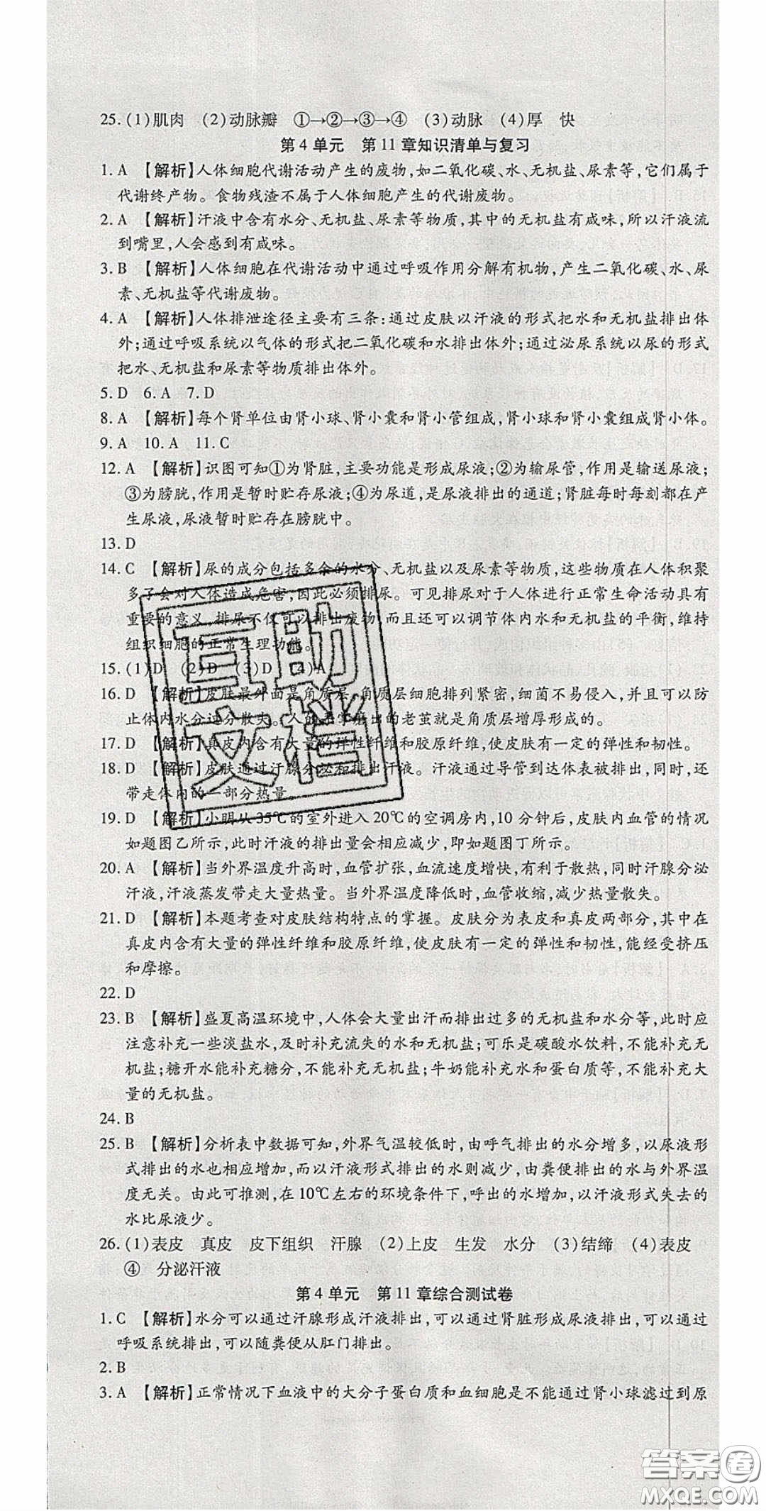 2020年高分裝備復(fù)習(xí)與測試七年級生物下冊北師大版答案