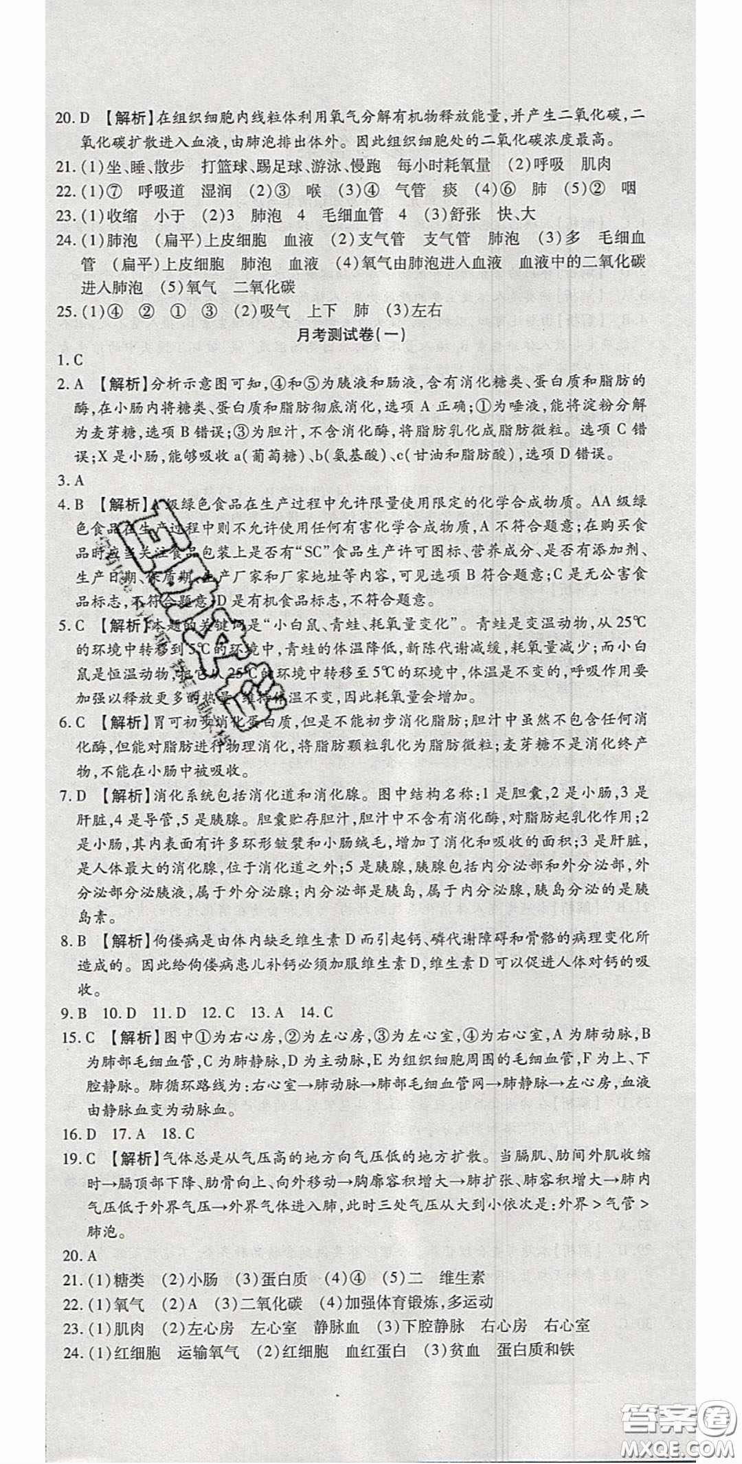 2020年高分裝備復(fù)習(xí)與測試七年級生物下冊北師大版答案