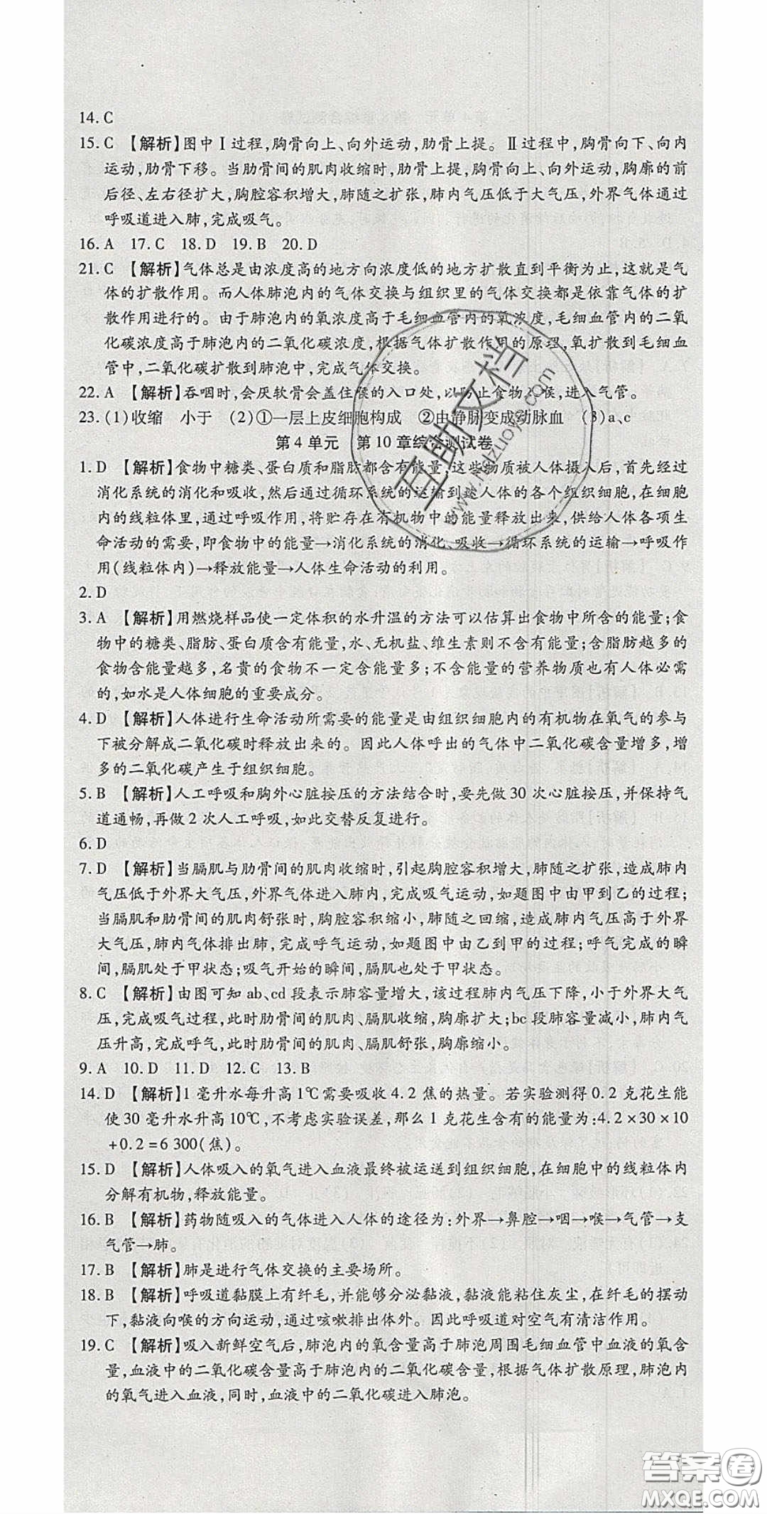 2020年高分裝備復(fù)習(xí)與測試七年級生物下冊北師大版答案