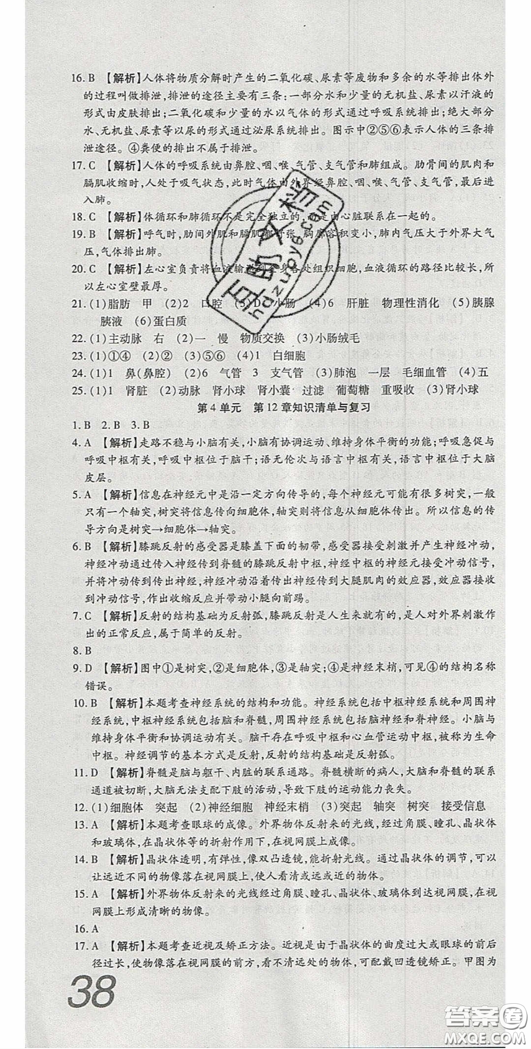 2020年高分裝備復(fù)習(xí)與測試七年級生物下冊北師大版答案