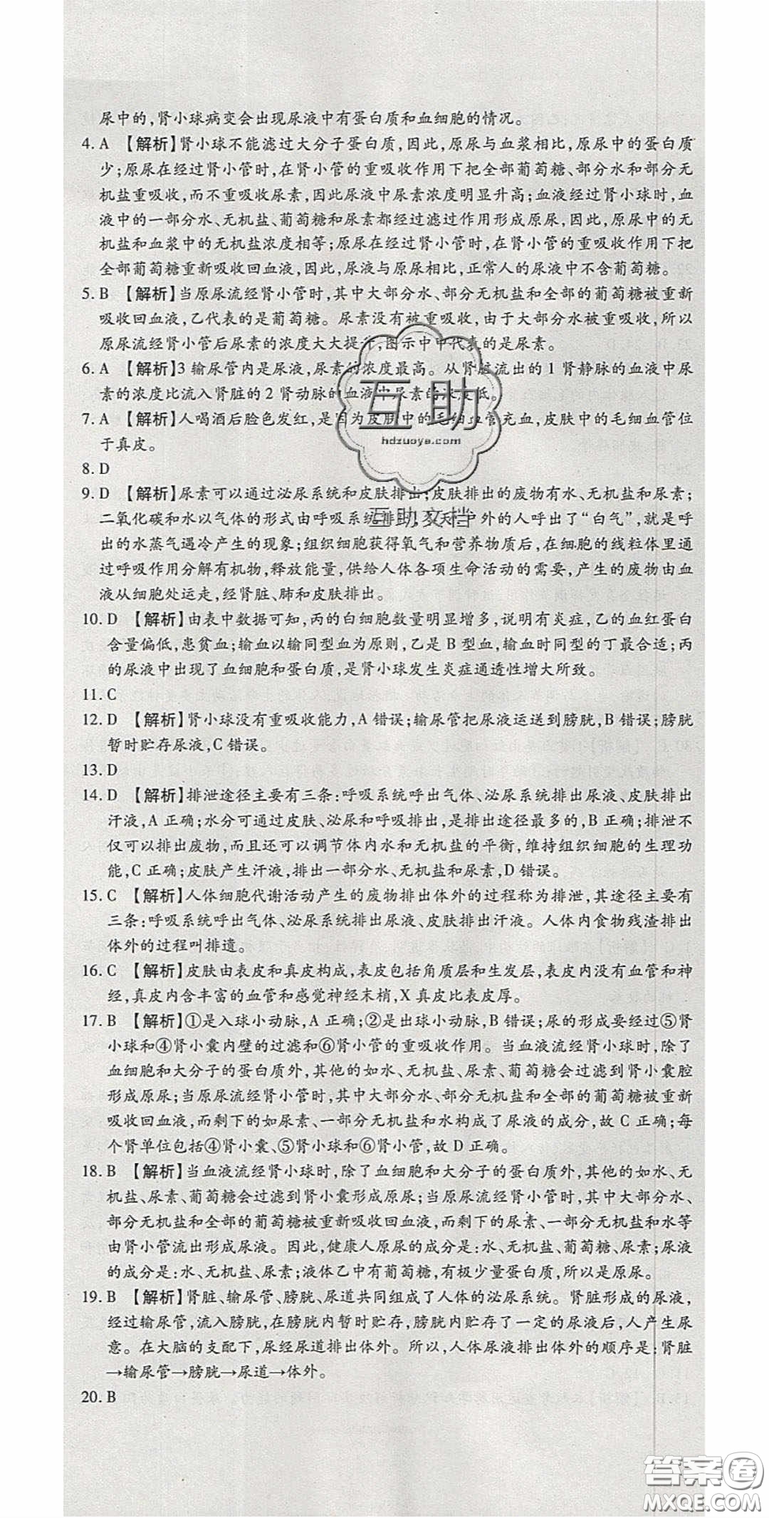 2020年高分裝備復(fù)習(xí)與測試七年級生物下冊北師大版答案