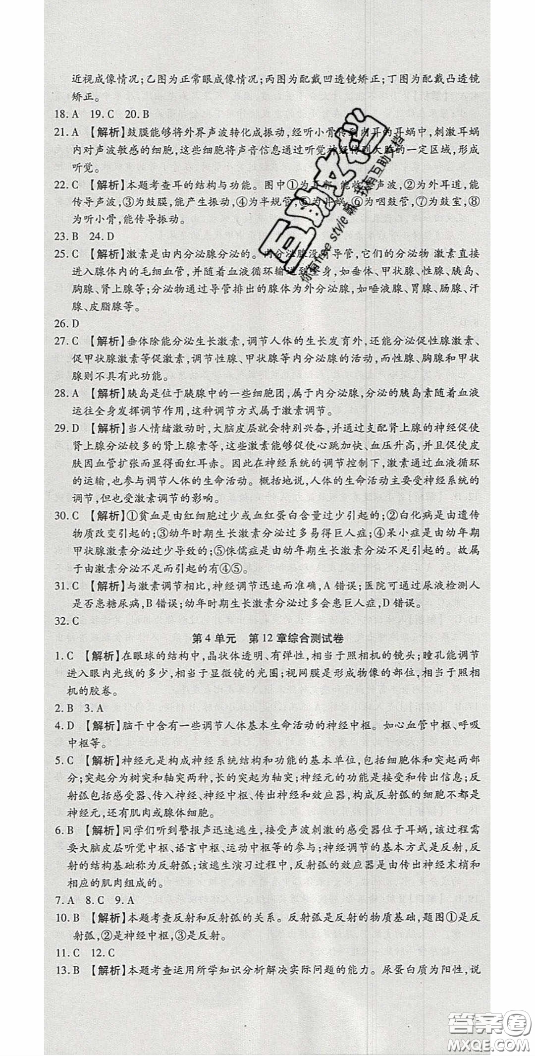 2020年高分裝備復(fù)習(xí)與測試七年級生物下冊北師大版答案