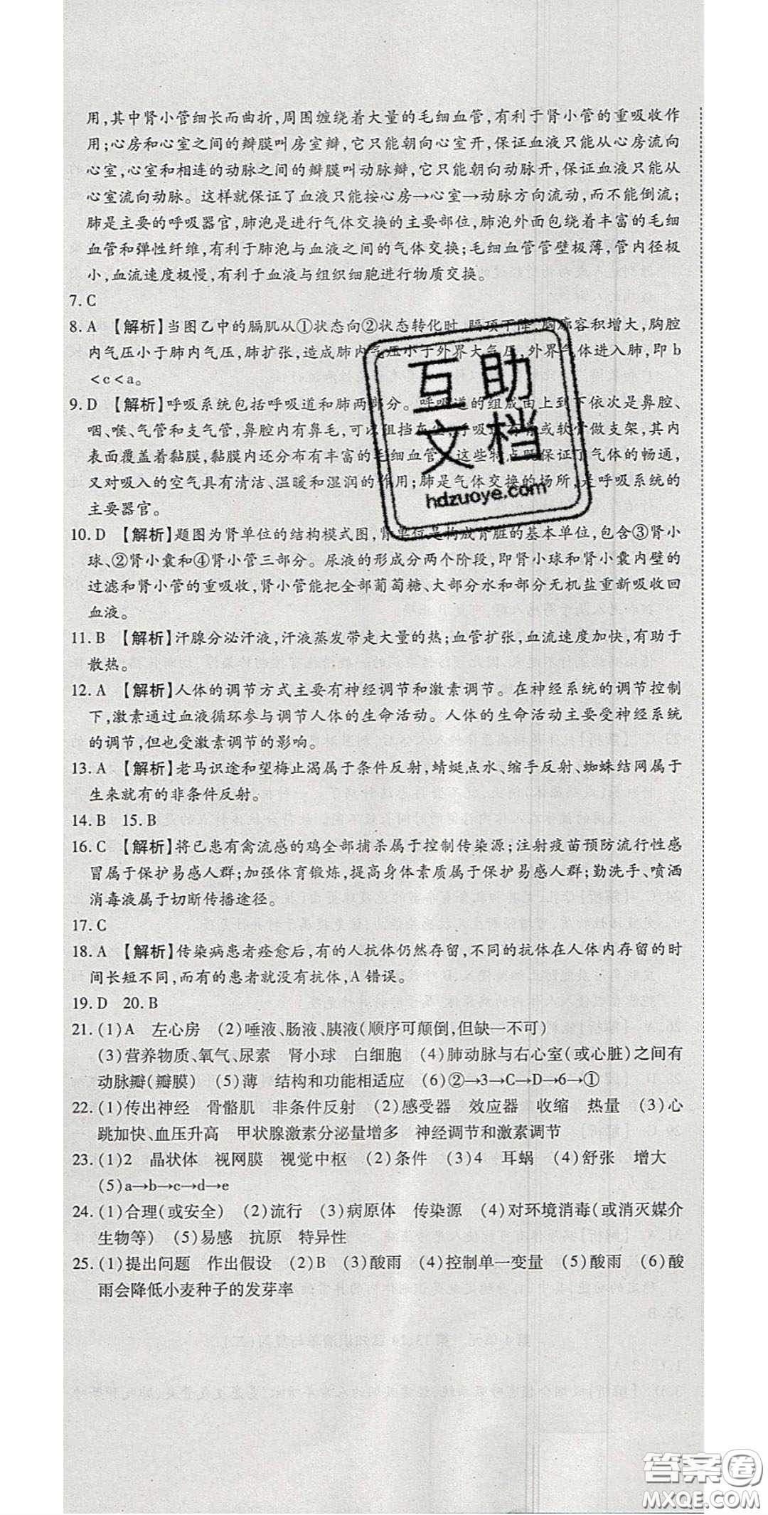 2020年高分裝備復(fù)習(xí)與測試七年級生物下冊北師大版答案