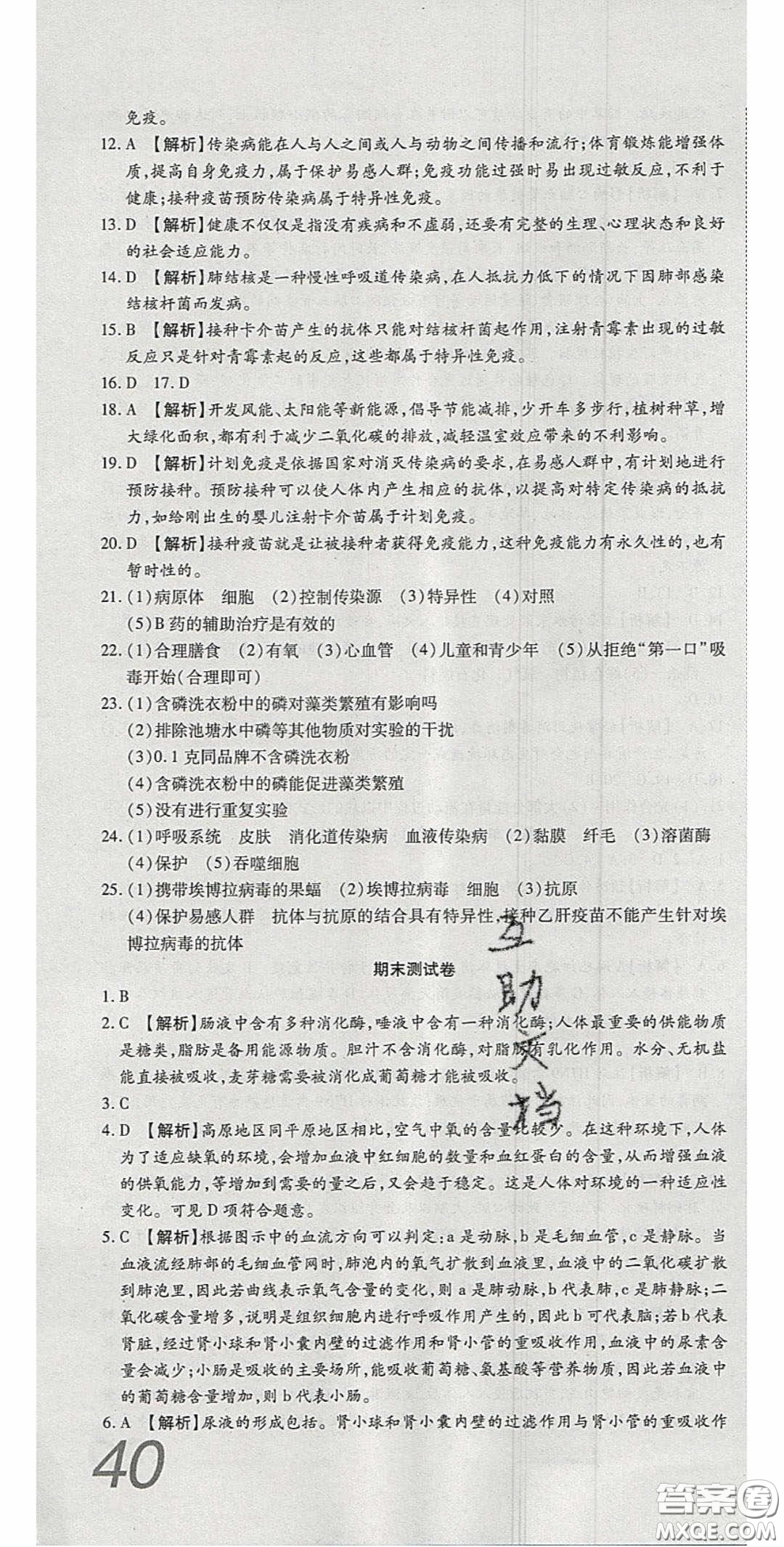 2020年高分裝備復(fù)習(xí)與測試七年級生物下冊北師大版答案