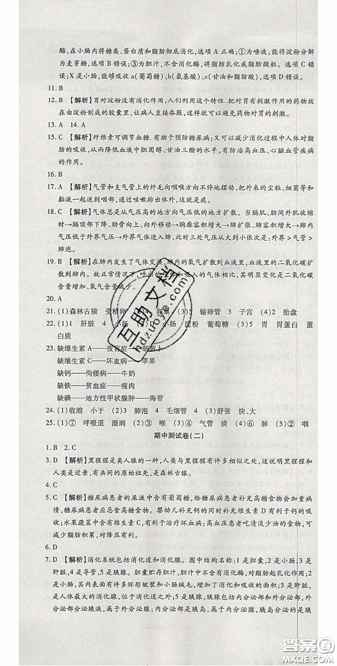 2020年高分裝備復(fù)習(xí)與測試七年級生物學(xué)下冊人教A版答案