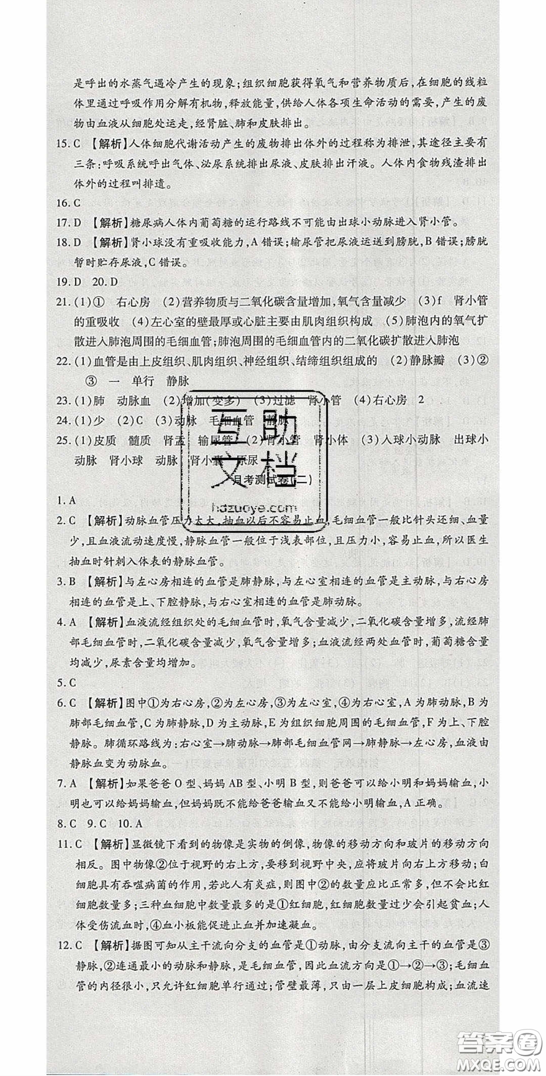 2020年高分裝備復(fù)習(xí)與測試七年級生物學(xué)下冊人教A版答案
