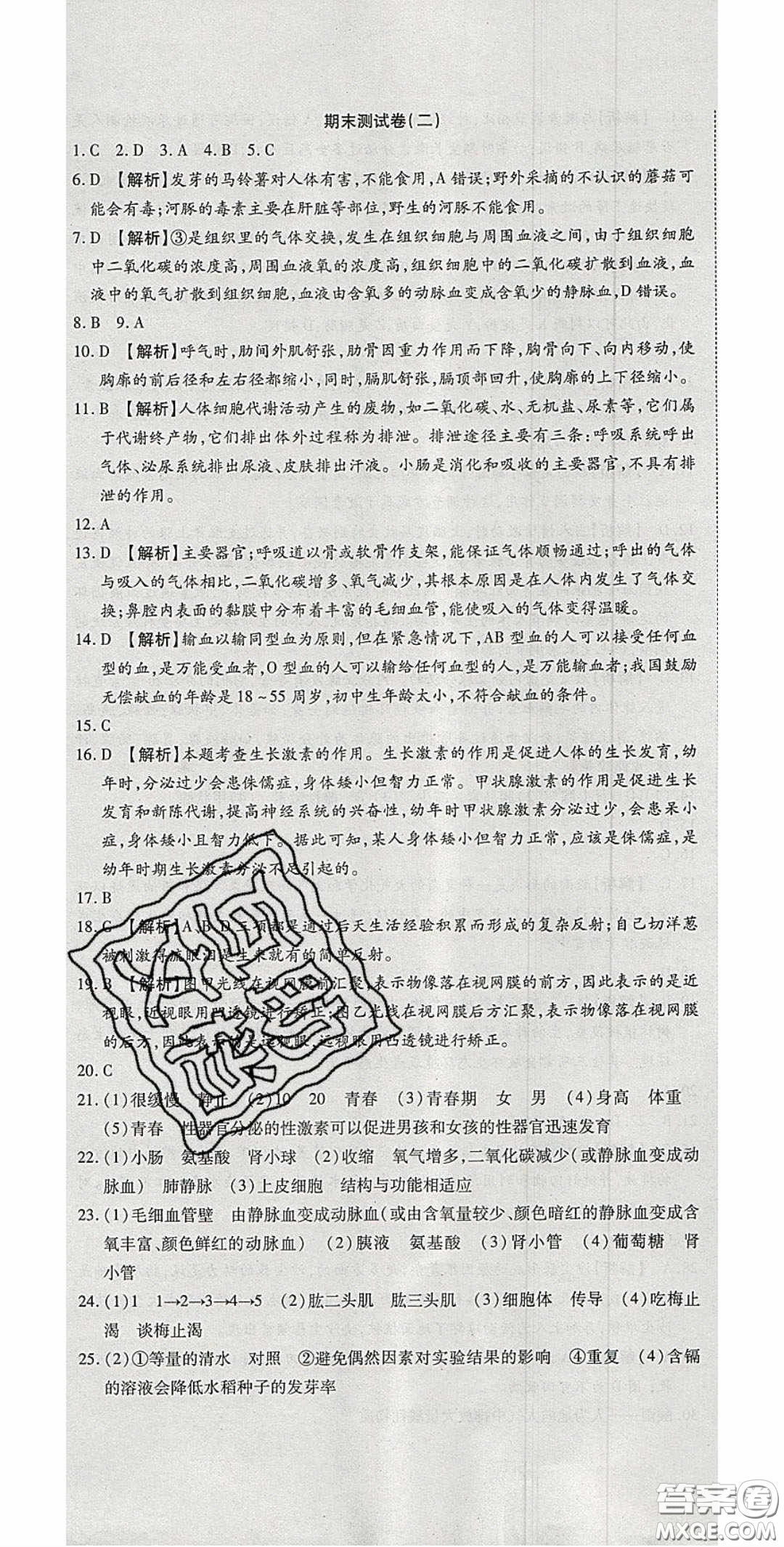 2020年高分裝備復(fù)習(xí)與測試七年級生物學(xué)下冊人教A版答案