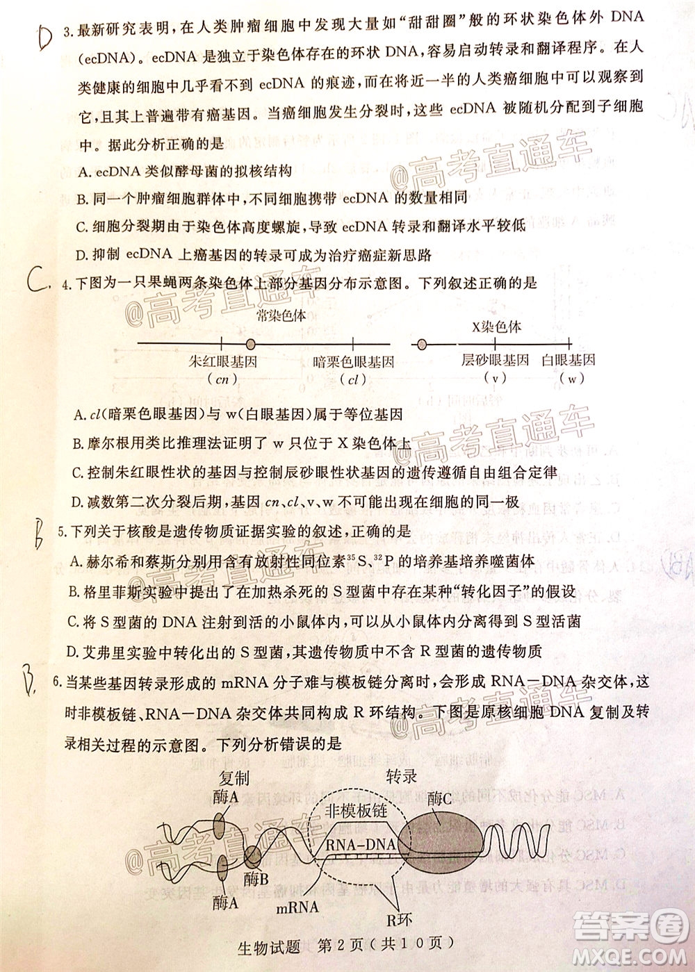 濟(jì)寧二模2019-2020學(xué)年度高考模擬考試生物試題及答案