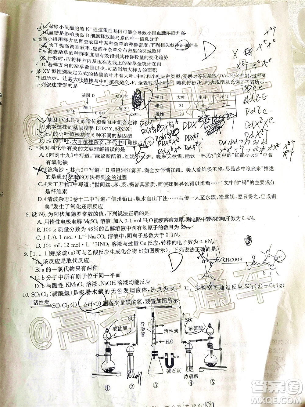 2020年金太陽百萬聯(lián)考全國I卷雙四方形高三理科綜合試題及答案