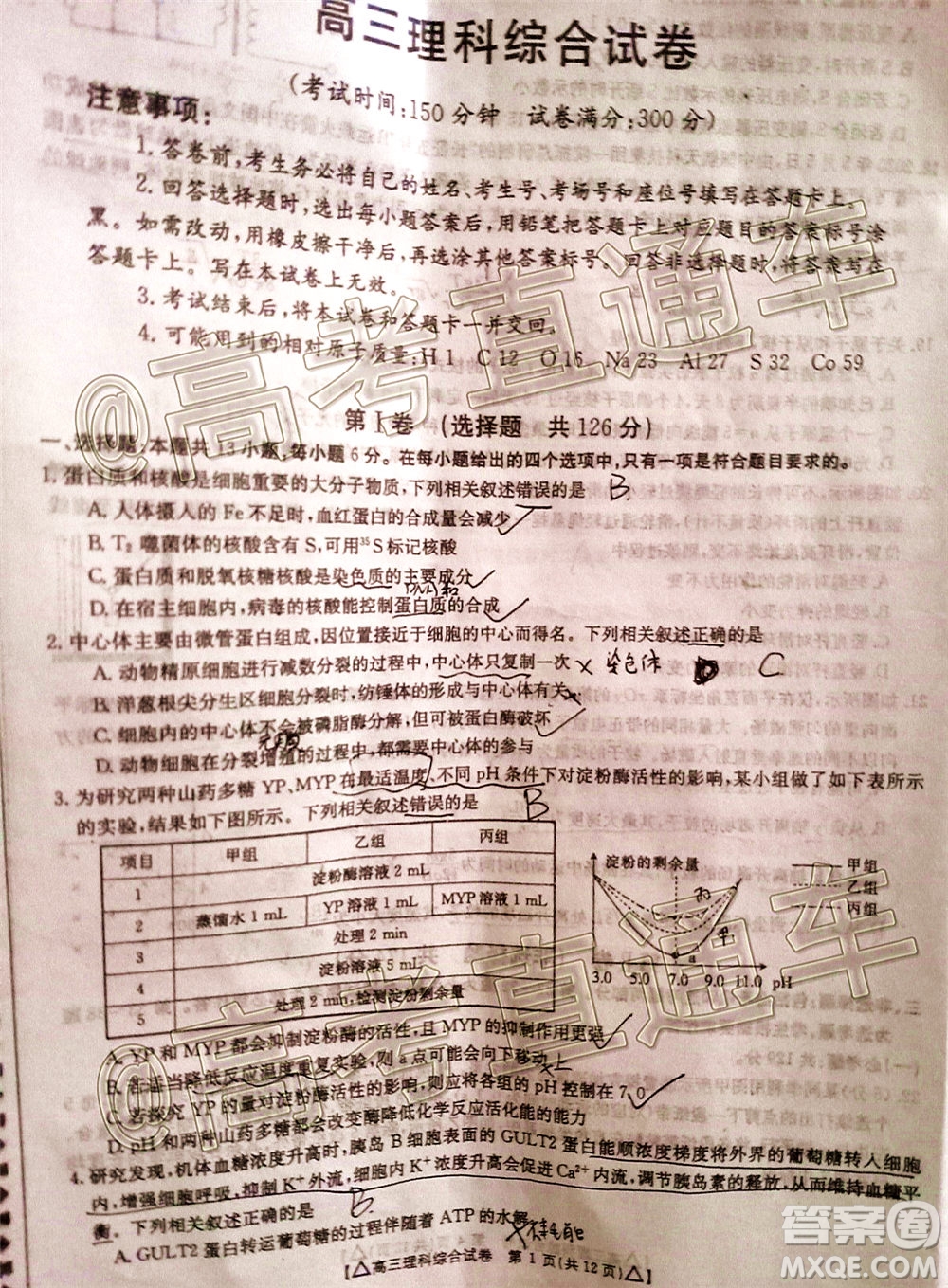 2020年金太陽百萬聯(lián)考全國(guó)II卷三角形高三理科綜合試題及答案
