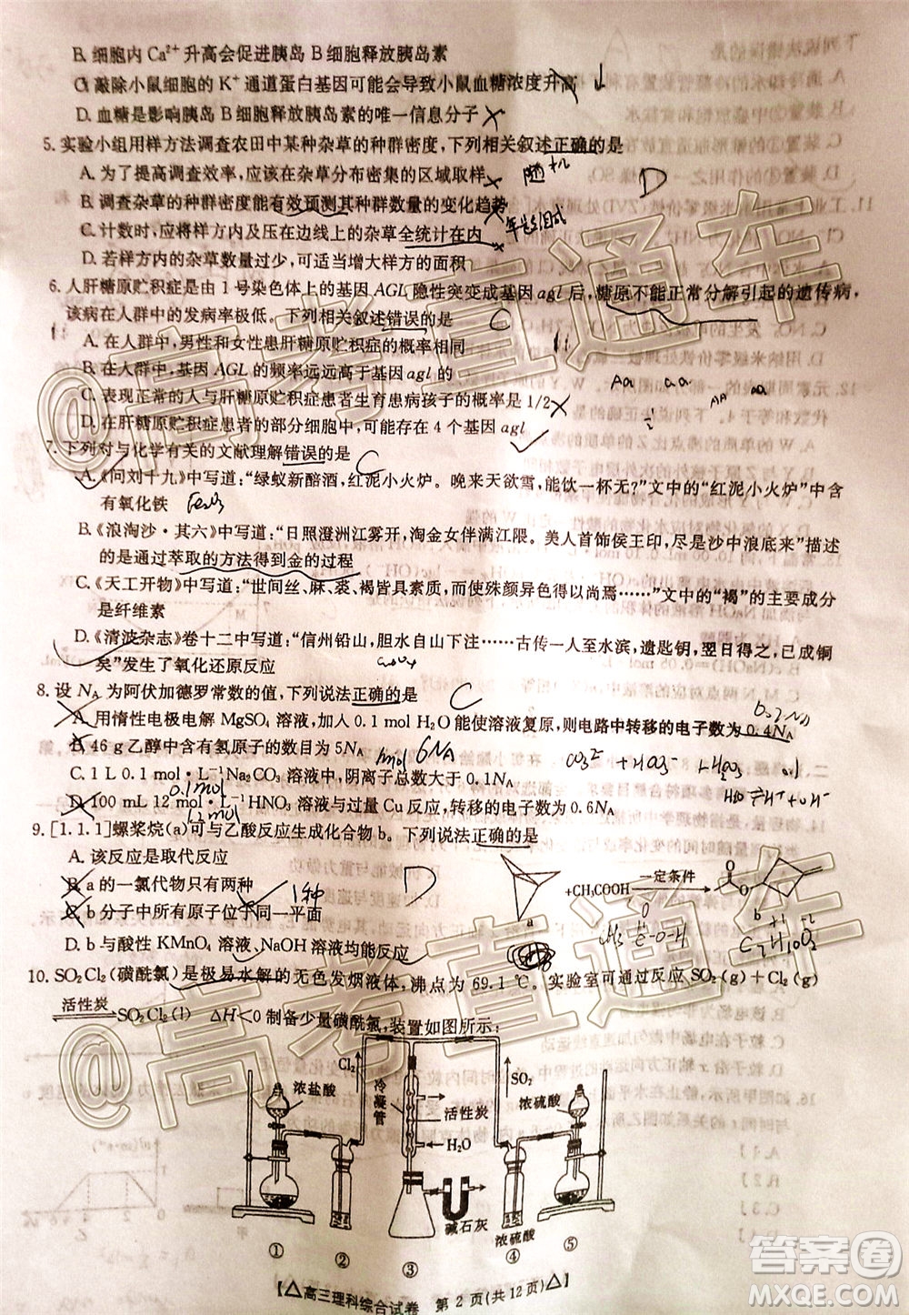 2020年金太陽百萬聯(lián)考全國(guó)II卷三角形高三理科綜合試題及答案