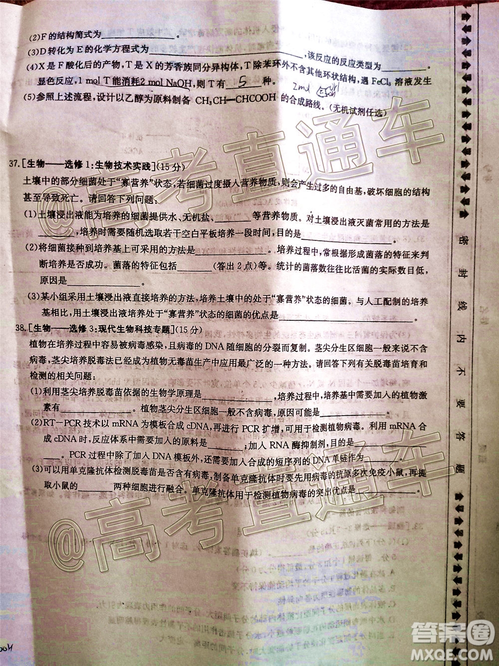 2020年金太陽百萬聯(lián)考全國(guó)II卷三角形高三理科綜合試題及答案