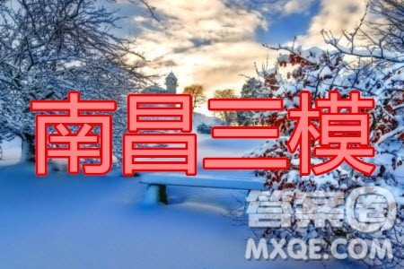 2020年南昌三模高三理科數(shù)學(xué)試題及答案
