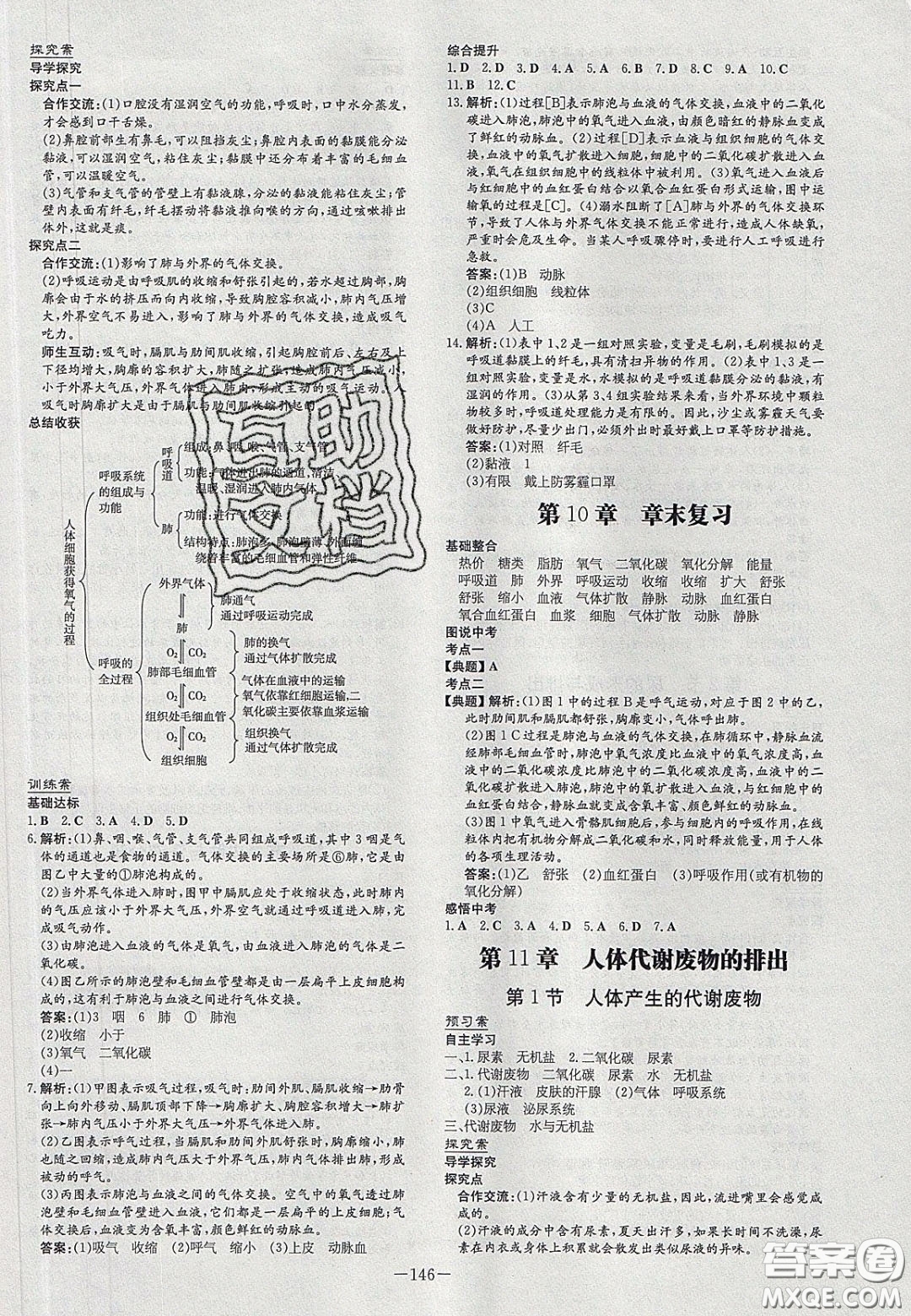 2020初中同步學(xué)習(xí)導(dǎo)與練導(dǎo)學(xué)探究案七年級(jí)生物下冊(cè)北師大版答案