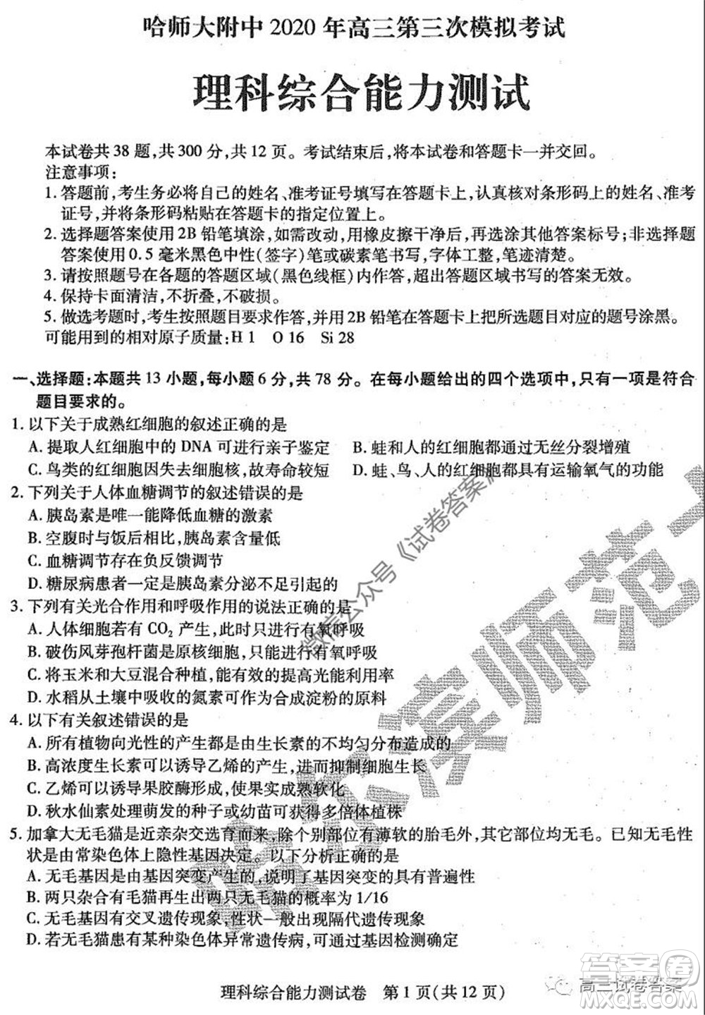 哈師大附中2020年高三第三次模擬考試?yán)砜凭C合試題及答案