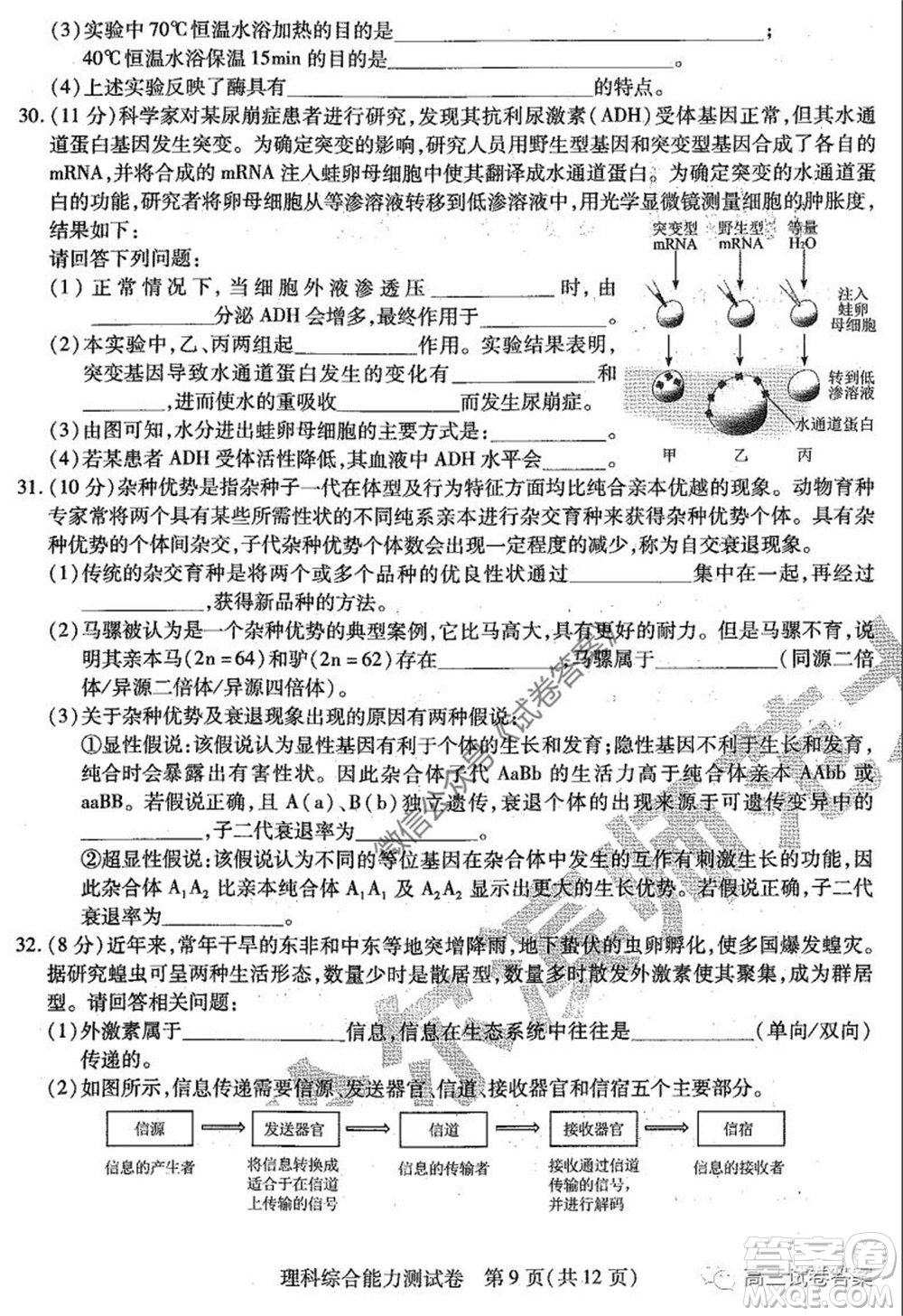哈師大附中2020年高三第三次模擬考試?yán)砜凭C合試題及答案