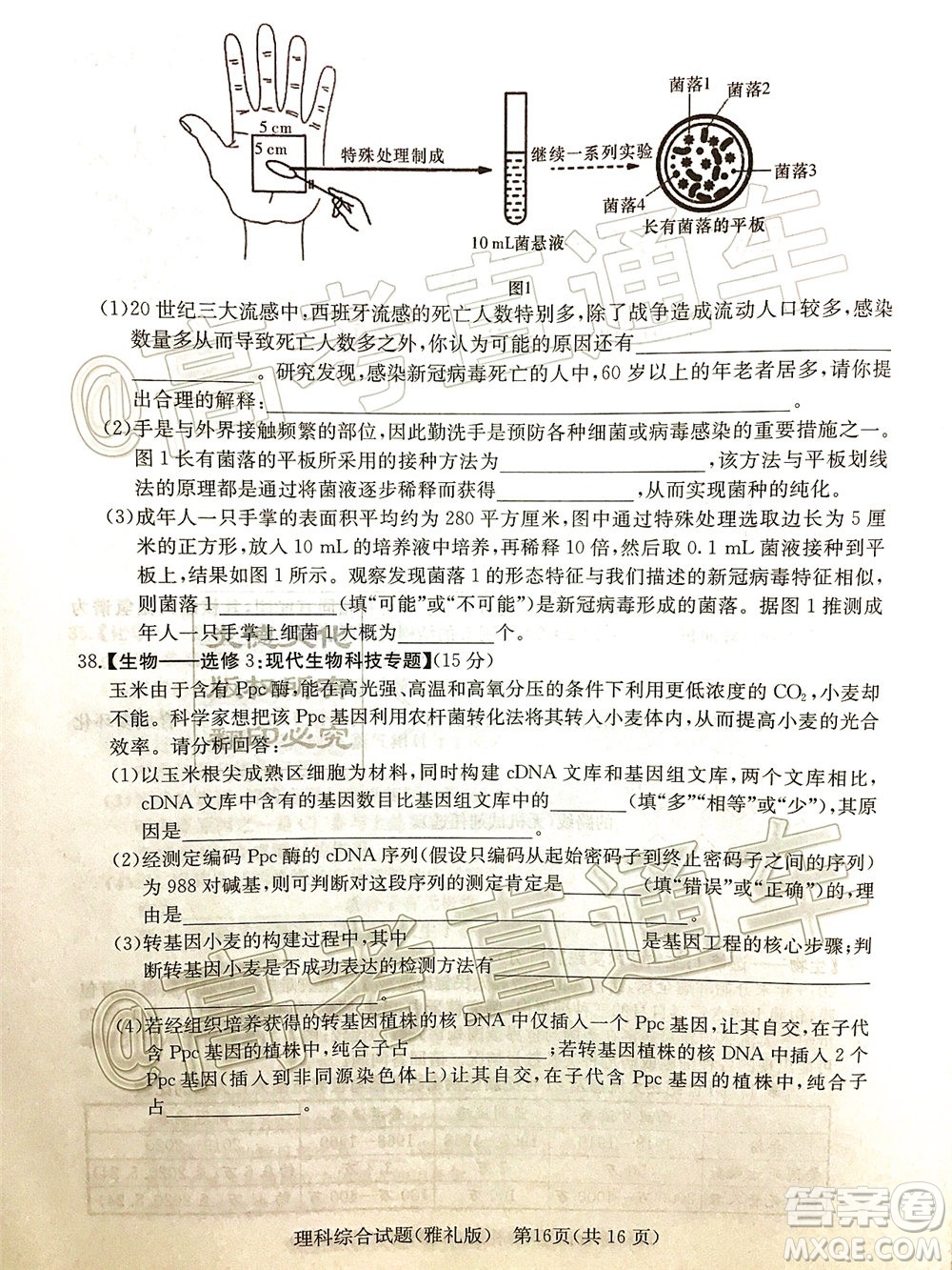 炎德英才大聯(lián)考雅禮中學(xué)2020屆高考模擬卷二理科綜合試題及答案