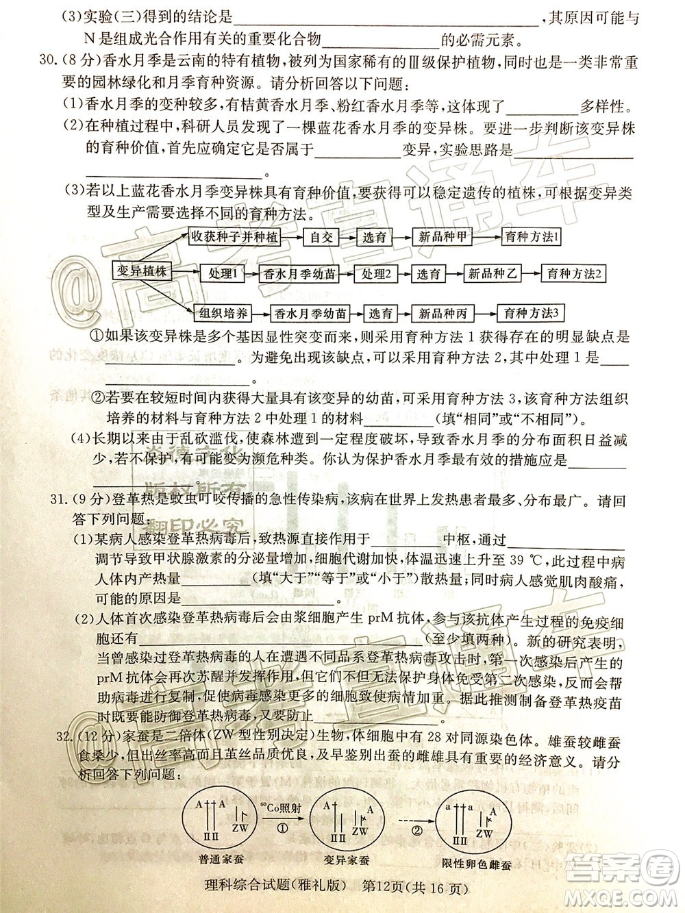 炎德英才大聯(lián)考雅禮中學(xué)2020屆高考模擬卷二理科綜合試題及答案