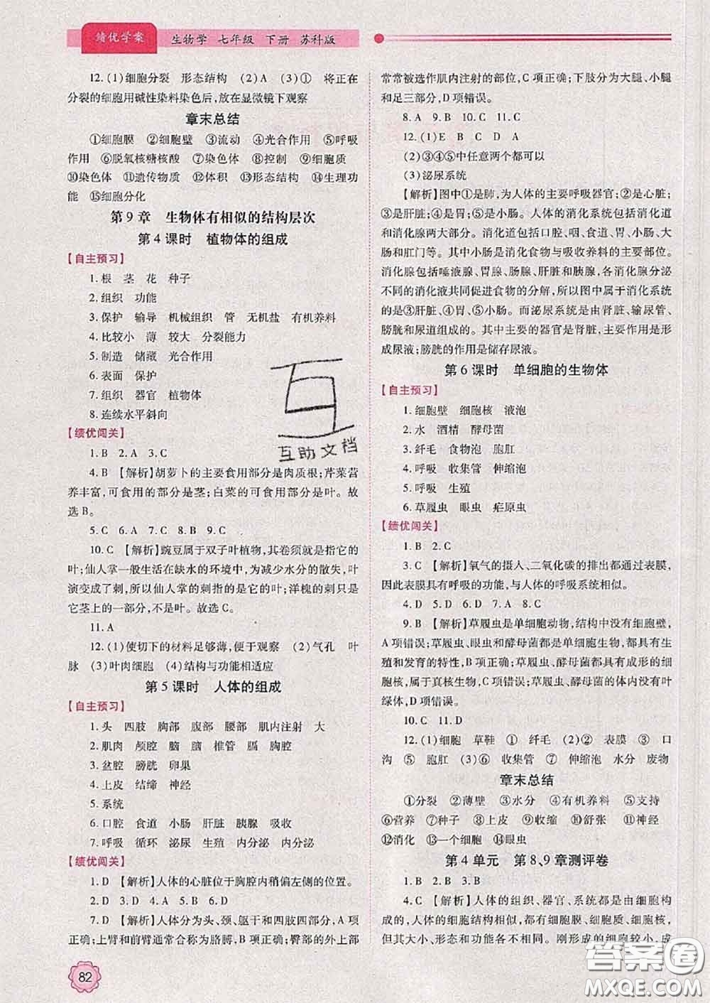 陜西師范大學(xué)出版社2020春績(jī)優(yōu)學(xué)案七年級(jí)生物下冊(cè)蘇科版答案