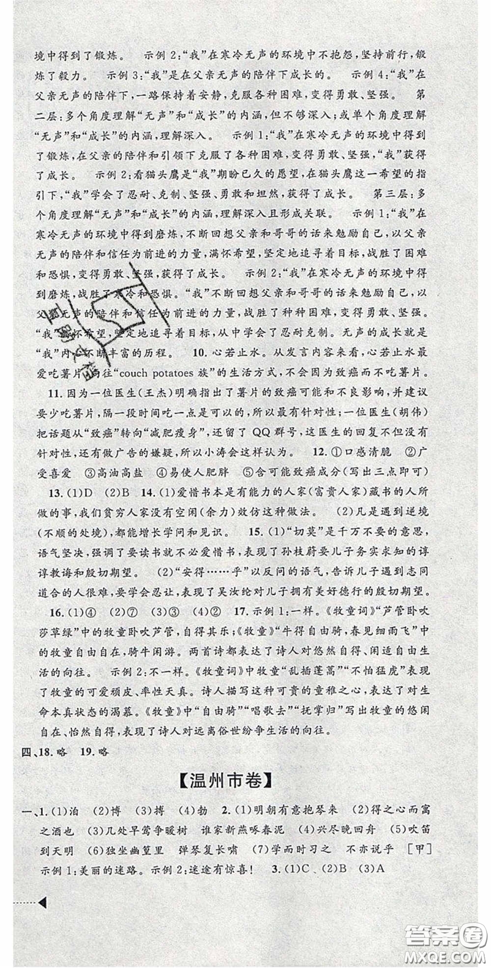 2020年中考必備2019中考利劍浙江省中考試卷匯編語文答案