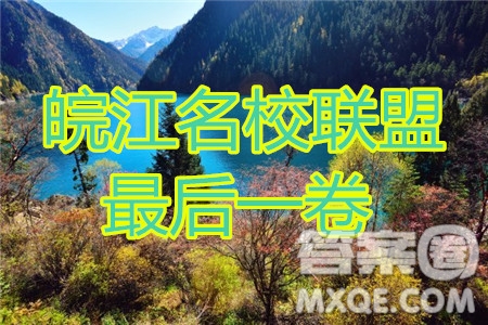 2020年皖江名校聯(lián)盟決戰(zhàn)高考最后一卷語文試題及答案