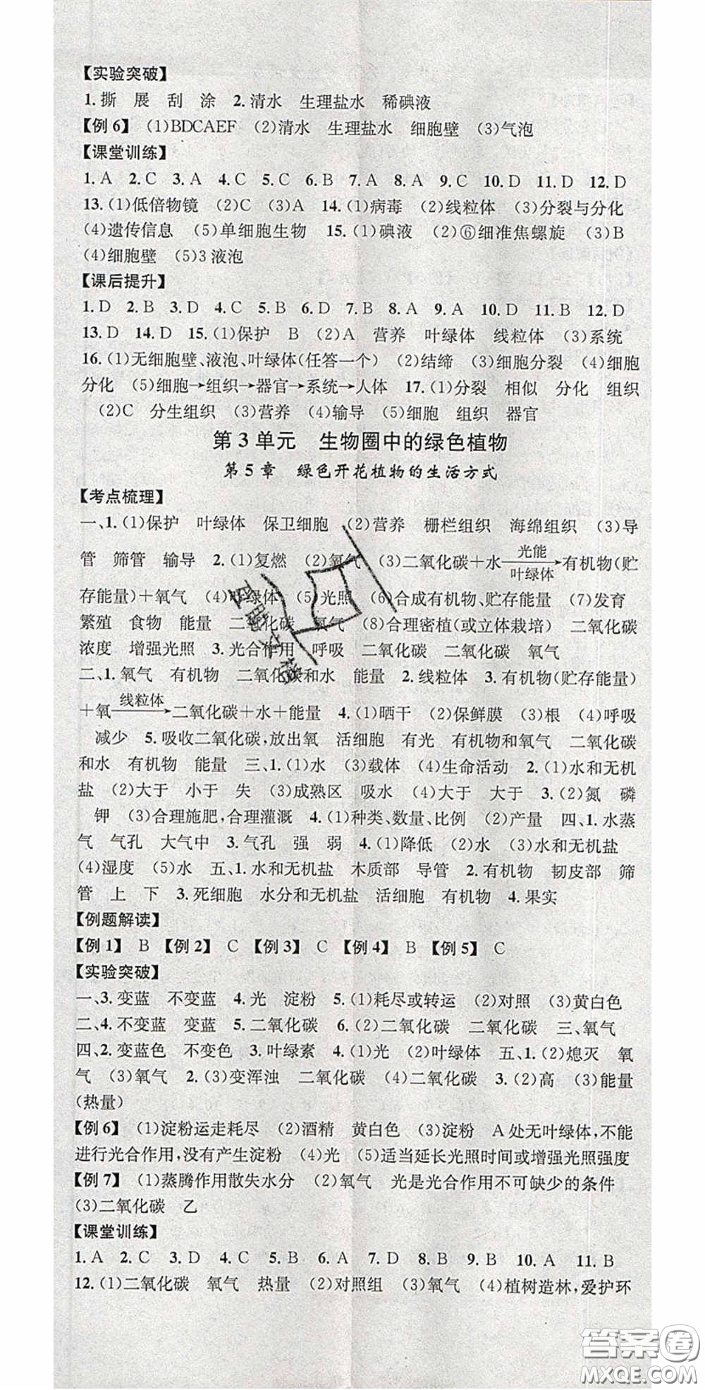 廣東經濟出版社2020火線100天中考滾動復習法生物北師大版答案