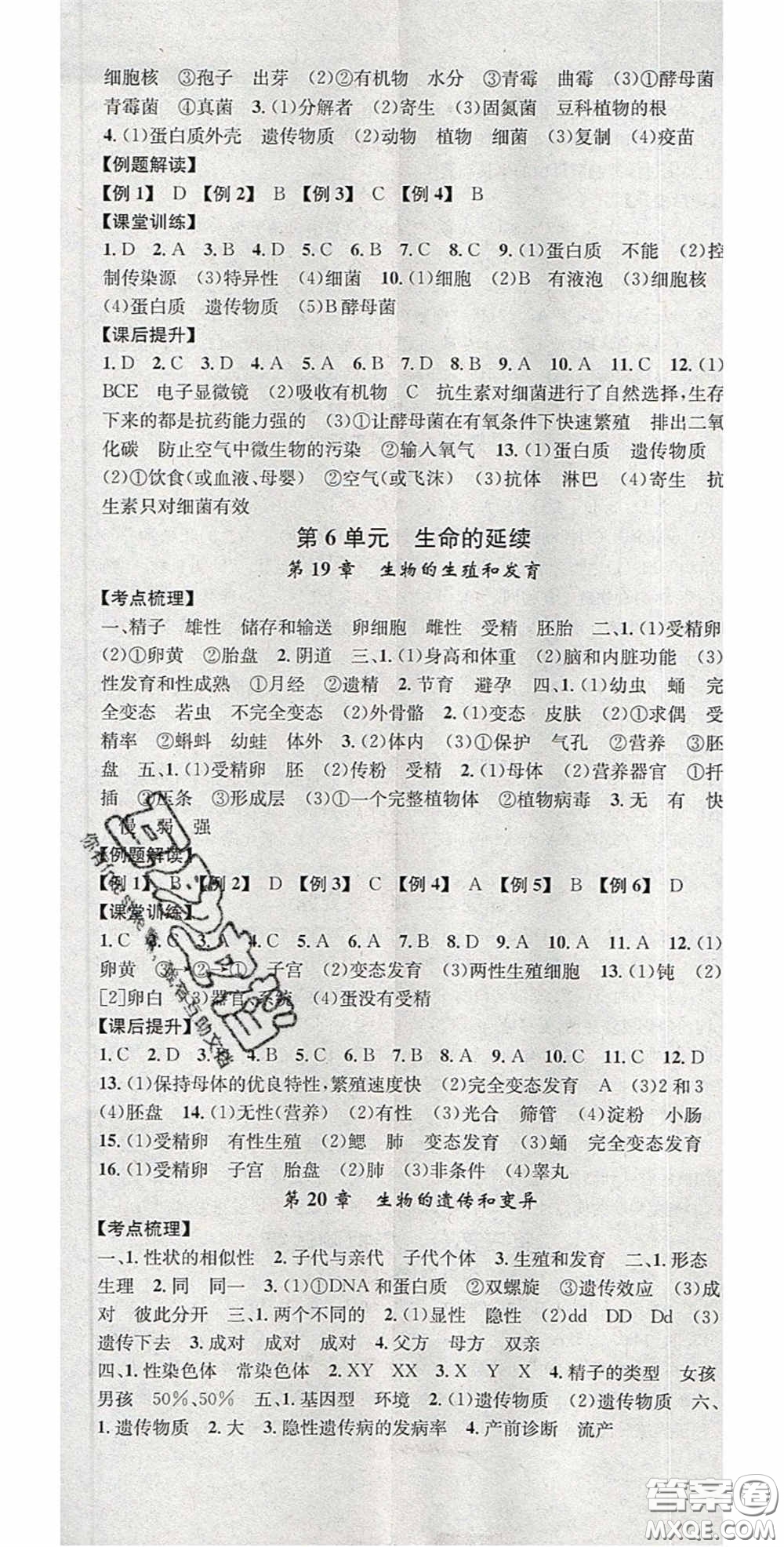 廣東經濟出版社2020火線100天中考滾動復習法生物北師大版答案