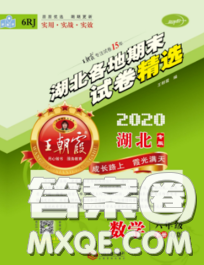 2020年王朝霞各地期末試卷精選六年級數(shù)學下冊人教版湖北專版答案