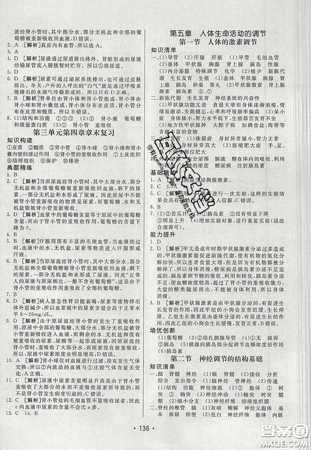 2020年同行學案學練測七年級生物下冊濟南版答案