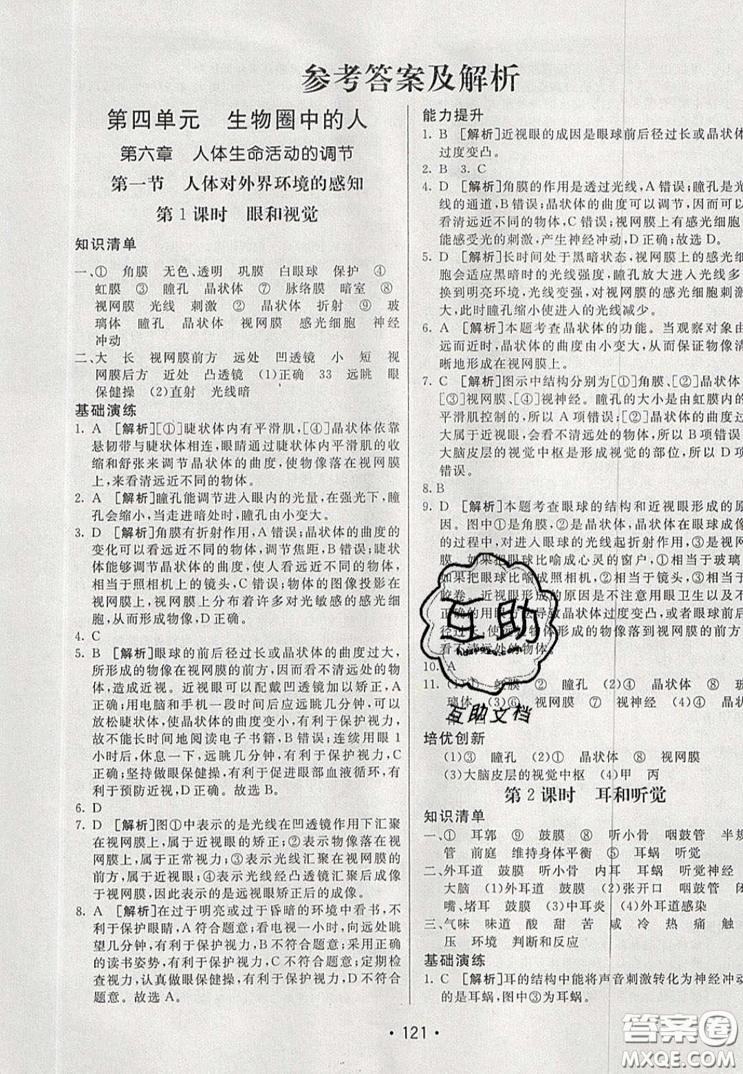2020年同行學(xué)案學(xué)練測(cè)七年級(jí)生物下冊(cè)魯科版答案