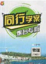2020年同行學案學練測八年級物理下冊魯教版煙臺專版答案