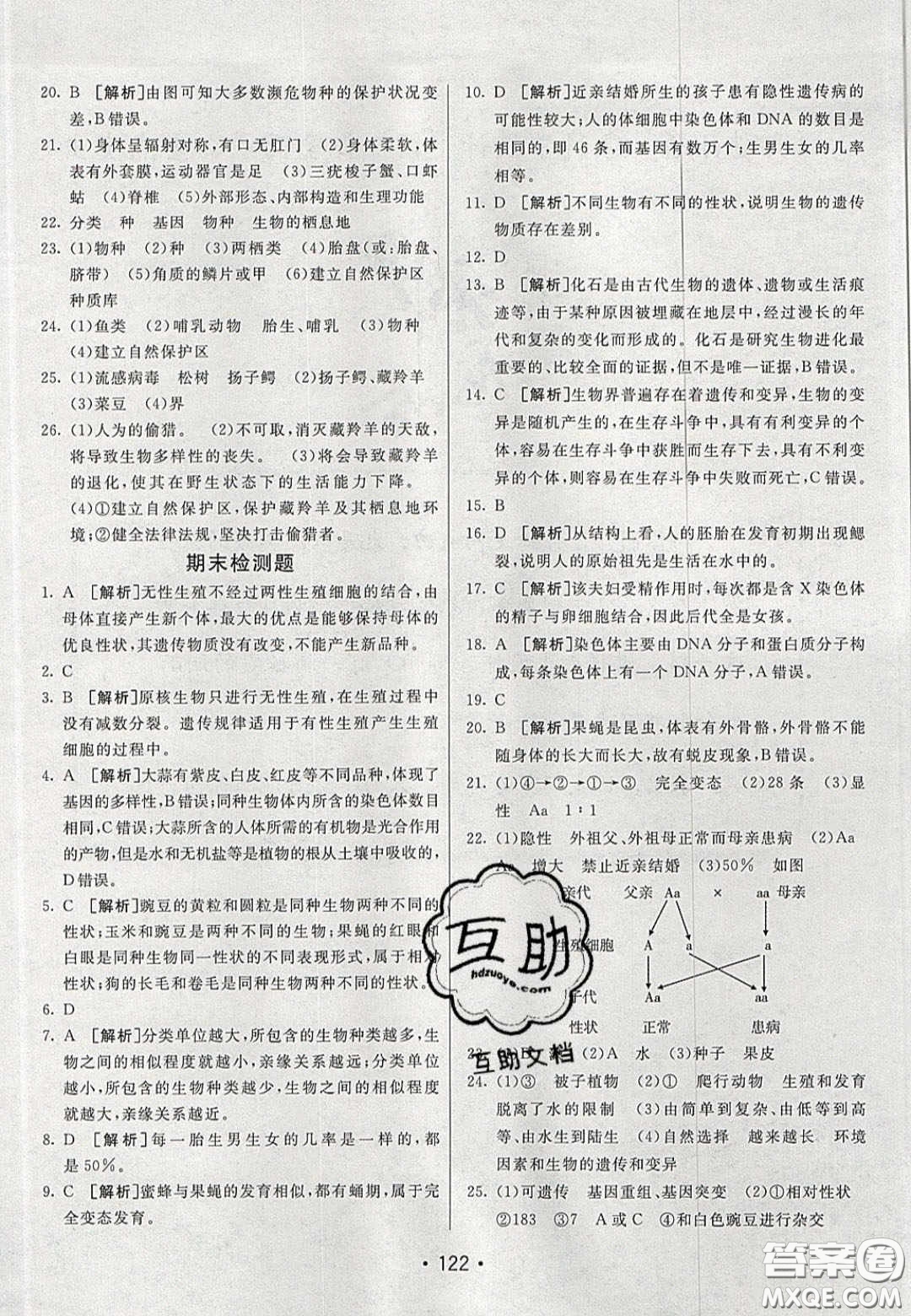 2020年同行學(xué)案學(xué)練測(cè)八年級(jí)生物下冊(cè)魯教版答案