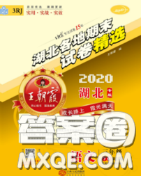 2020年王朝霞各地期末試卷精選三年級(jí)語(yǔ)文下冊(cè)人教版湖北專(zhuān)版答案