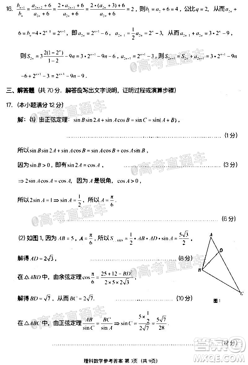 巴蜀中學(xué)2020屆高考適應(yīng)性月考卷十理科數(shù)學(xué)試題及答案