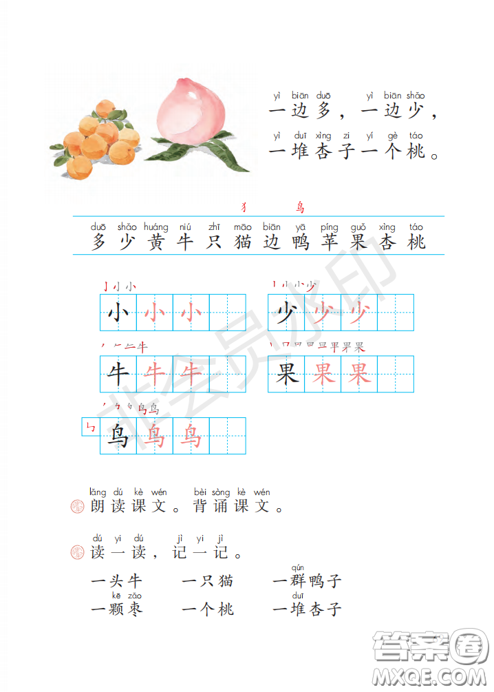 2020義務(wù)教育教科書(shū)語(yǔ)文一年級(jí)上冊(cè)人教版課本