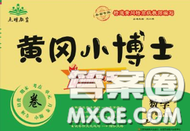 2020年黃岡小博士沖刺100分五年級(jí)數(shù)學(xué)下冊(cè)人教版答案