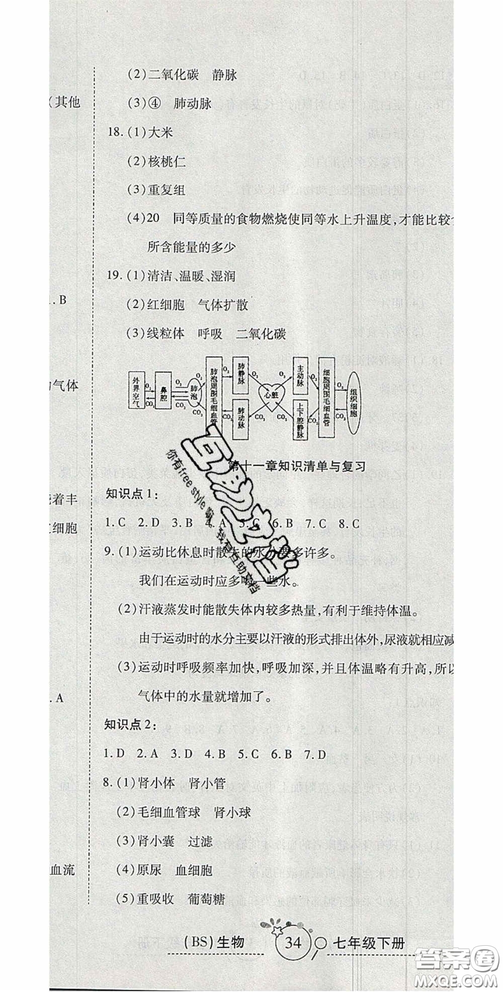 2020開心一卷通全優(yōu)大考卷七年級生物下冊北師大版答案