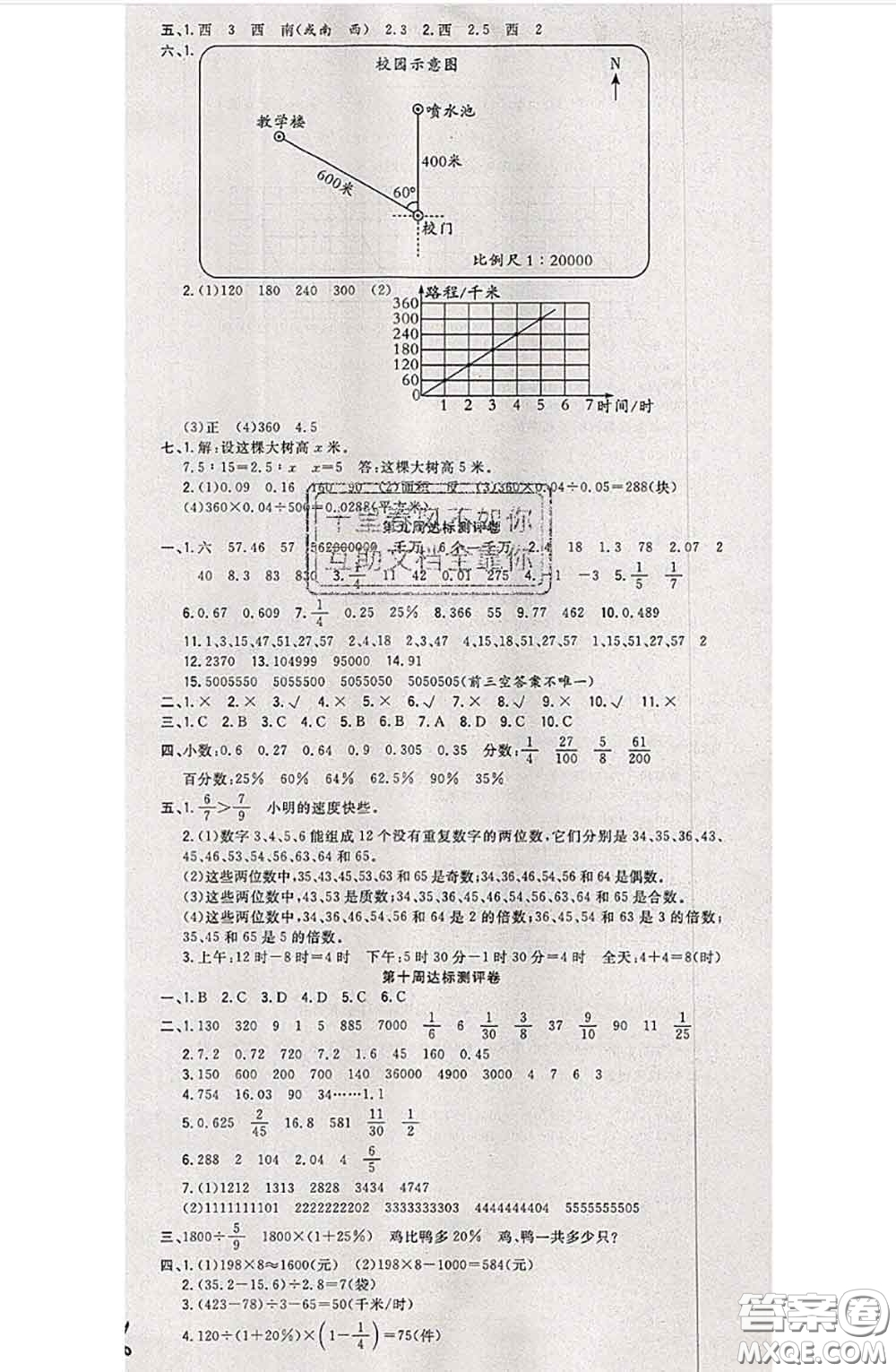 南方出版社2020狀元大考卷六年級(jí)數(shù)學(xué)下冊蘇教版答案