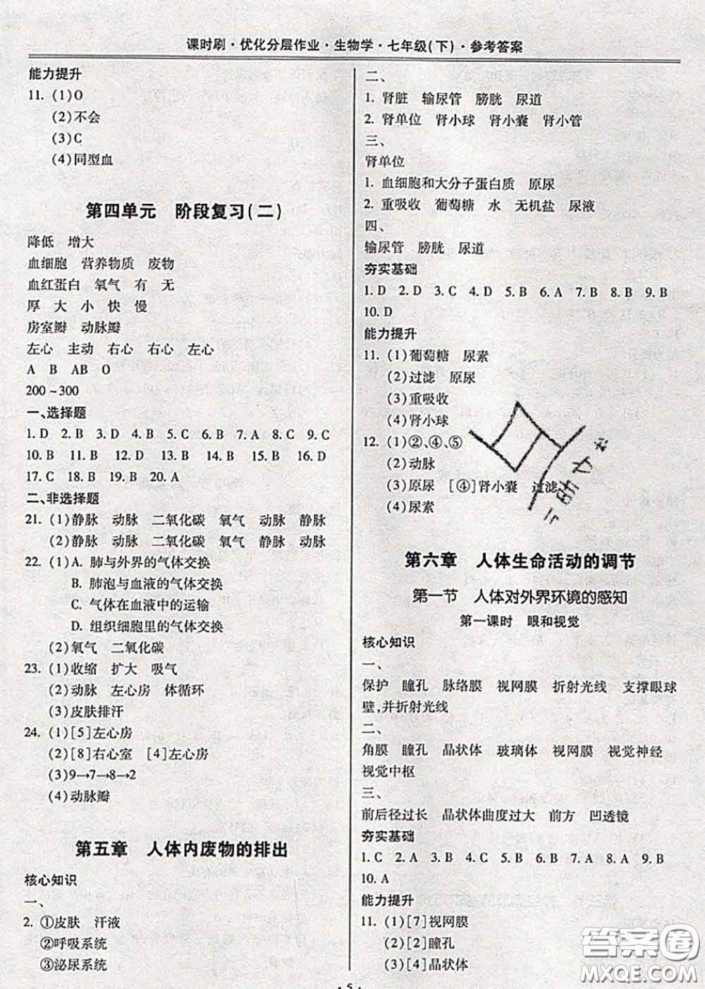 2020年課時(shí)刷優(yōu)化分層作業(yè)七年級(jí)生物下冊人教版答案
