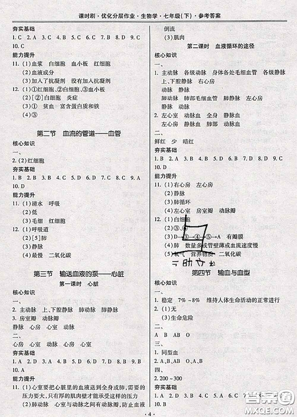 2020年課時(shí)刷優(yōu)化分層作業(yè)七年級(jí)生物下冊人教版答案
