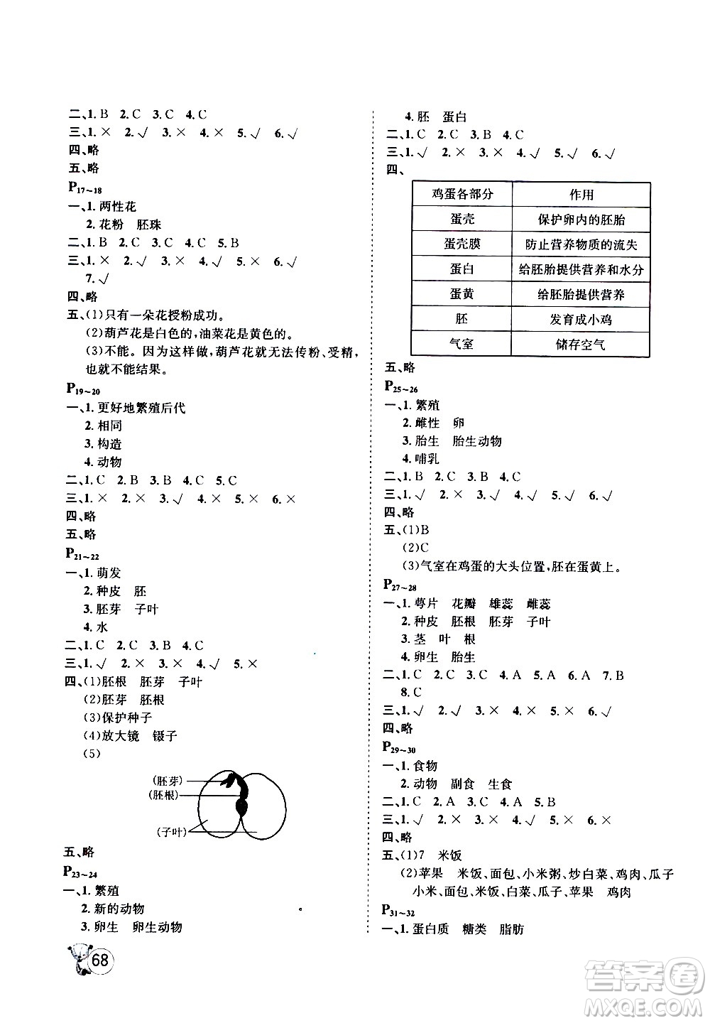 桂壯紅皮書2020年暑假天地科學(xué)四年級(jí)教科版參考答案
