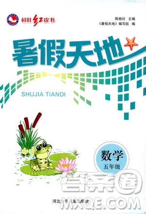 桂壯紅皮書2020年暑假天地?cái)?shù)學(xué)五年級(jí)人教版參考答案