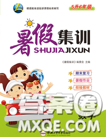 2020年暑假集訓小升初銜接教材五年級數(shù)學人教版答案
