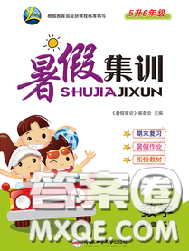2020年暑假集訓(xùn)小升初銜接教材五年級(jí)數(shù)學(xué)蘇教版答案