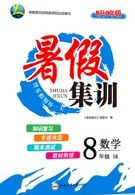 合肥工業(yè)大學出版社2020暑假集訓八年級數(shù)學蘇科版答案