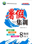合肥工業(yè)大學(xué)出版社2020暑假集訓(xùn)八年級(jí)物理人教版答案