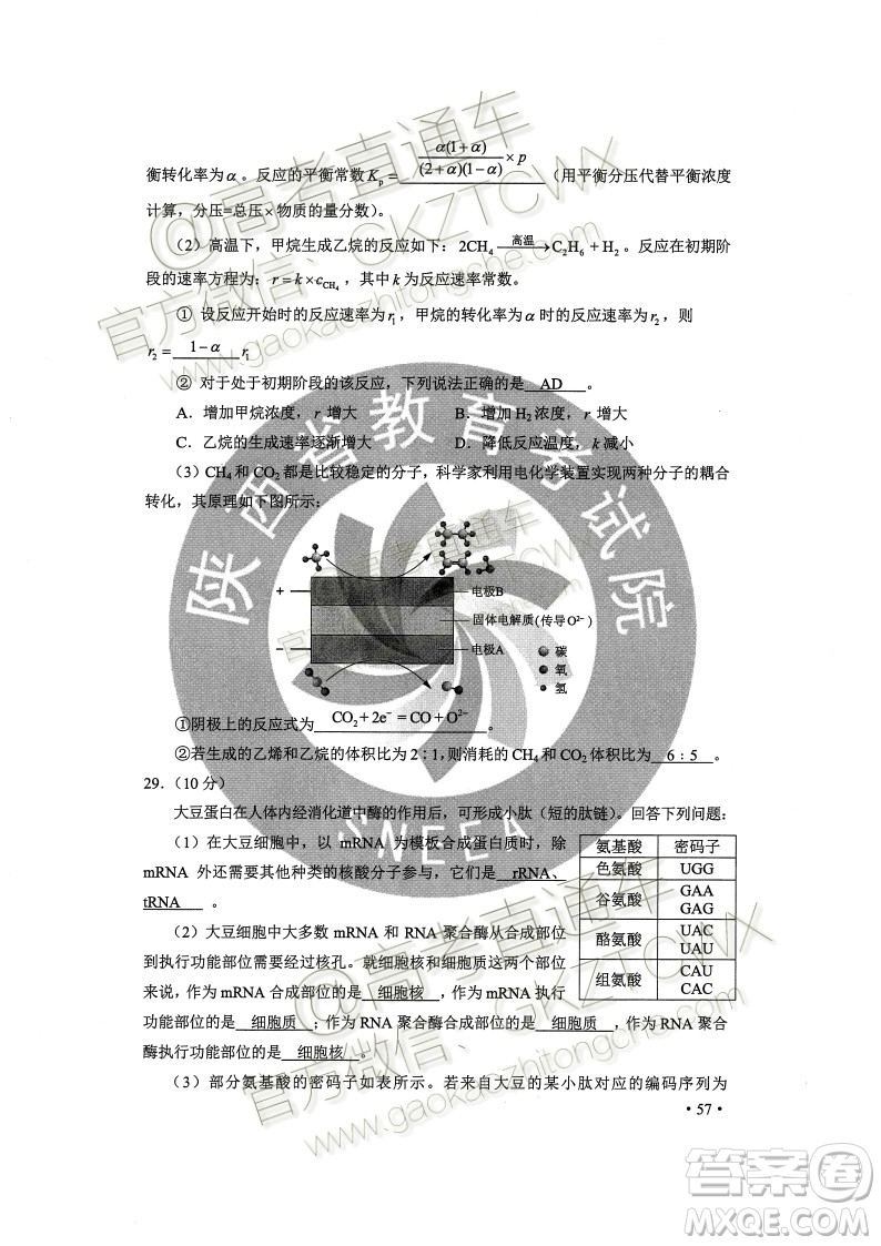 2020年全國(guó)高考真題全國(guó)II卷理科綜合能力測(cè)試試題及答案