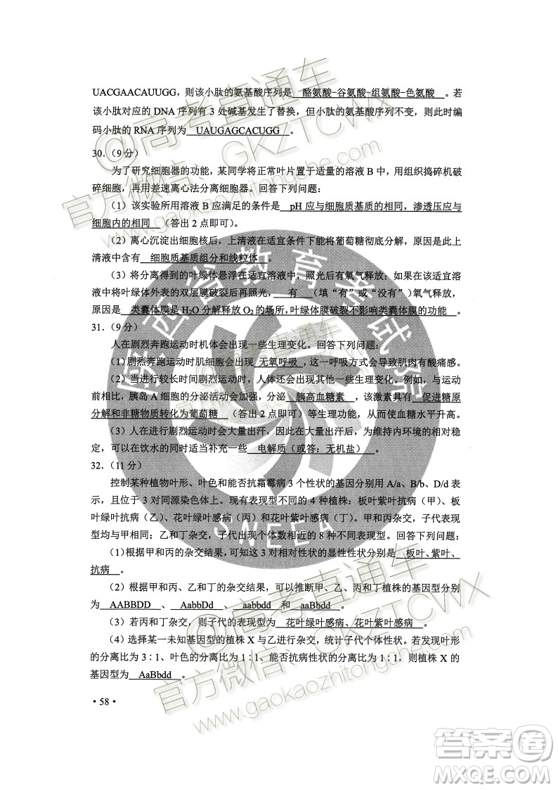 2020年全國(guó)高考真題全國(guó)II卷理科綜合能力測(cè)試試題及答案