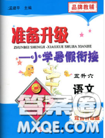2020年孟建平準(zhǔn)備升級(jí)小學(xué)暑假銜接五升六語(yǔ)文人教版答案