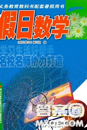 吉林出版集團(tuán)股份有限公司2020假日數(shù)學(xué)七年級答案